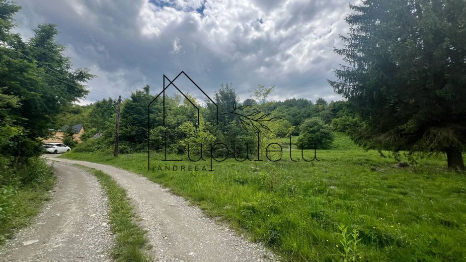 Teren Intravilan – 2.700 mp | Valea Avrigului | Zonă turistică deoseb - Poză 2