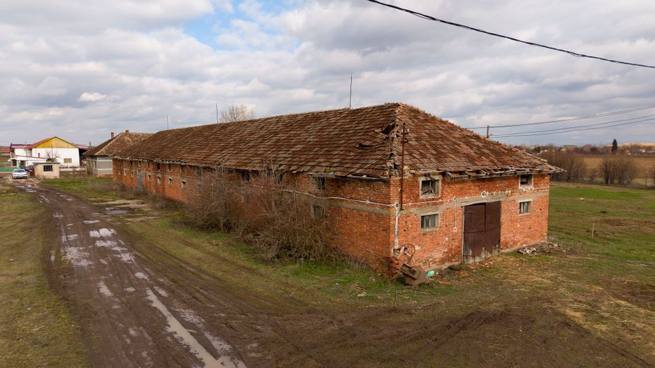 Fermă cu teren intravilan de 35000 mp în Mișca - Poză 22