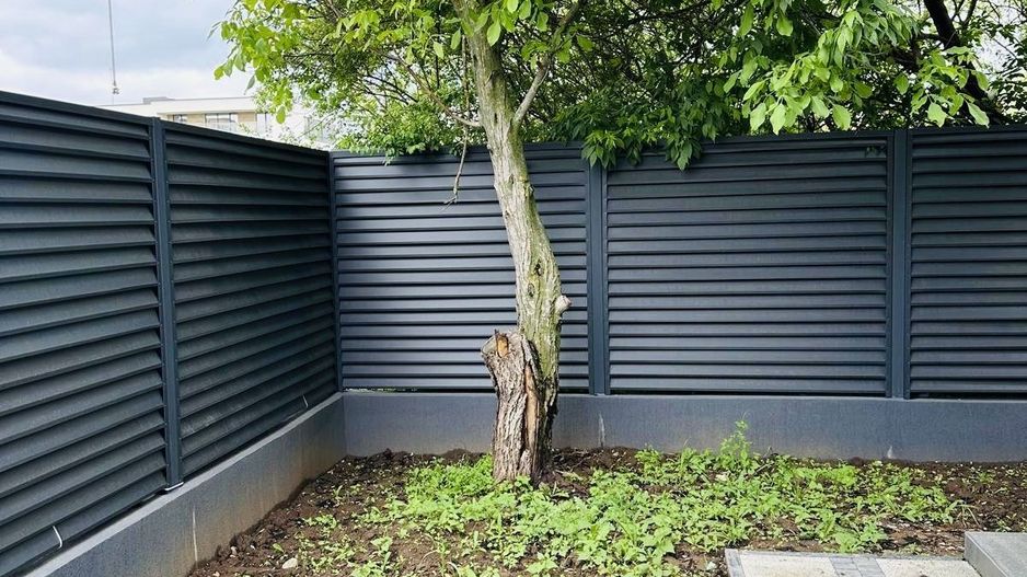 Vila superba 5 camere Iancu Nicolae Baneasa Gradina Zoologica - Poză 11