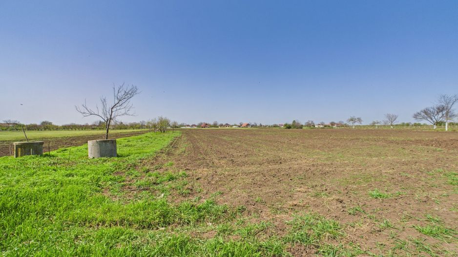 Casă cu Grădină Mare la 30 km de Timișoara - Poză 26