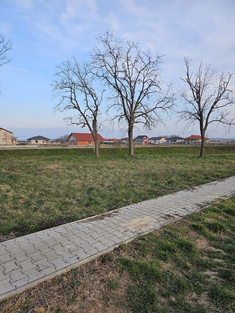 Teren 21600 mp in apropiere de Autostrada Transulvania - Poză 3