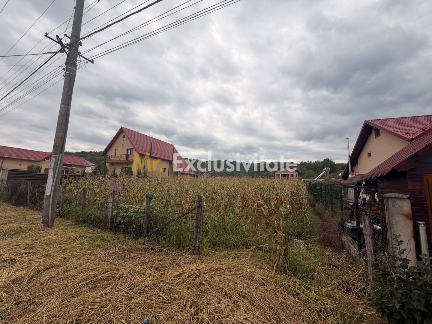 Teren pretabil unei construcții de vis - Băbana - zonă cu pădure - Poză 4