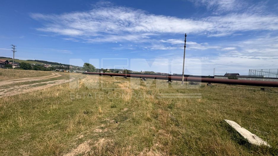 Teren Itcani | 31 Ari | Extravilan | Deschidere 11.5 MP | 93000 Euro - Poză 5