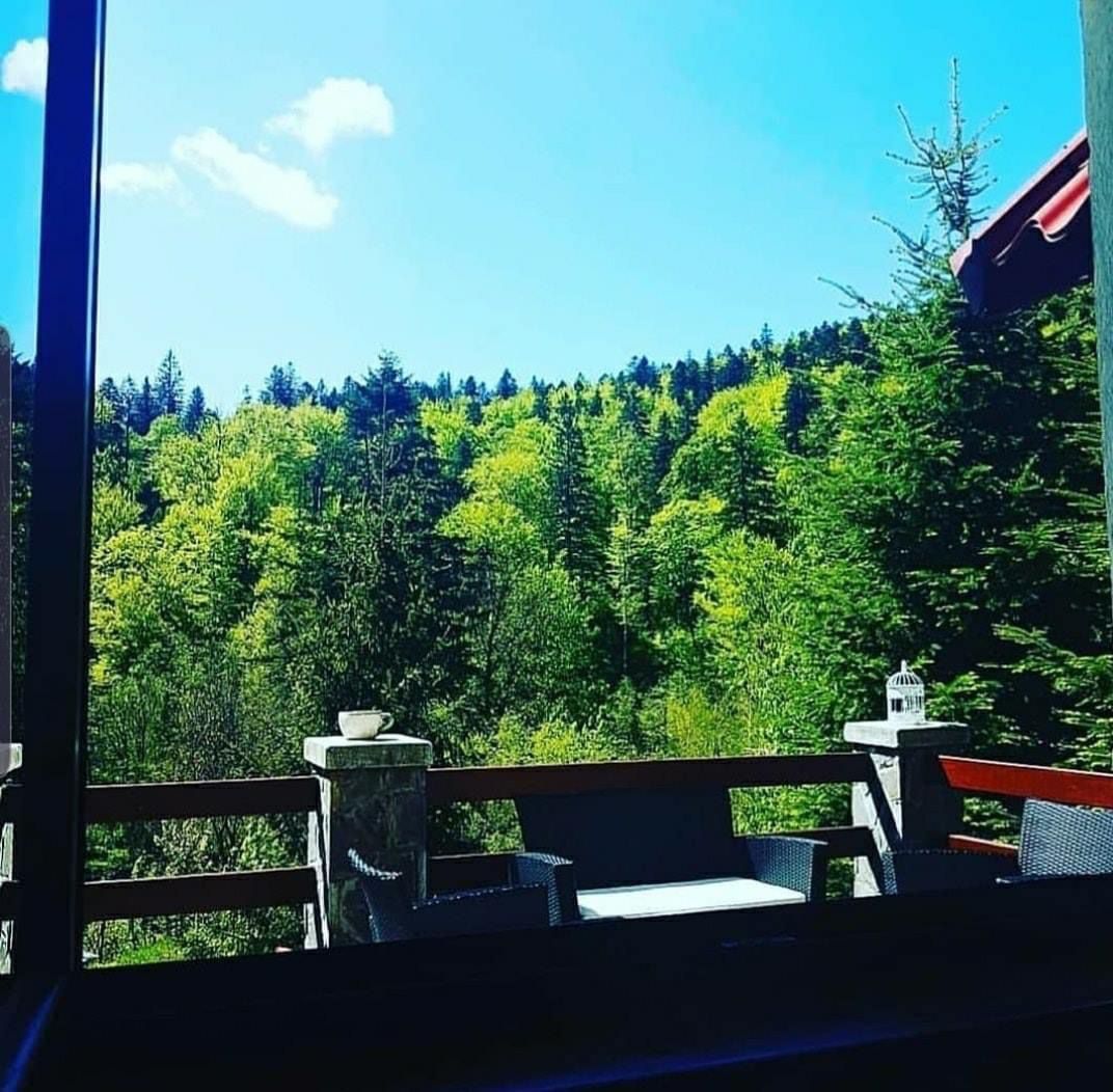 Pensiune superba Sinaia - Poză 8