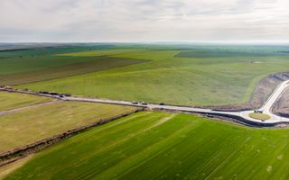 Teren 270,000mp Giarmata - Poză 7