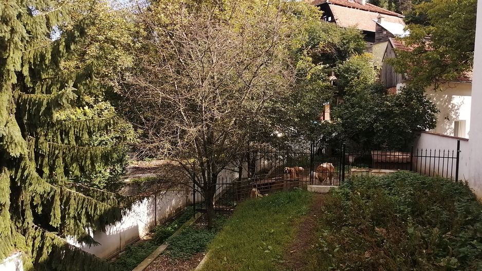 Casa in zona Sirul Livezii - Roata Norocului - Poză 18