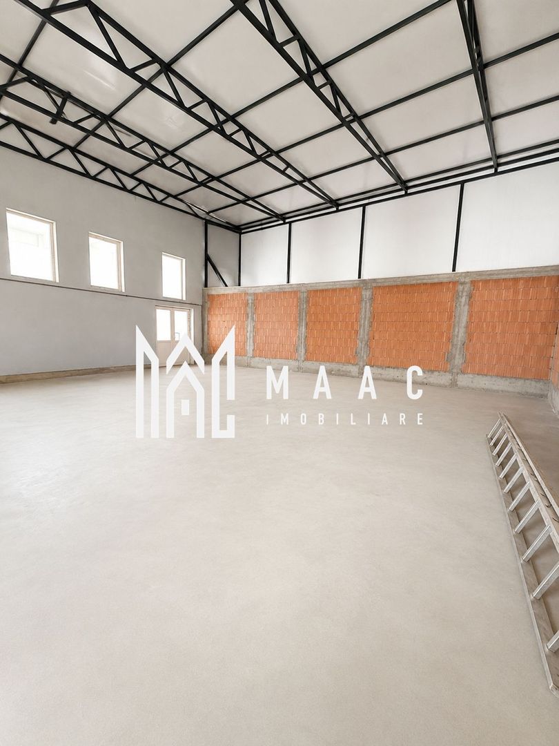 Hală industrială | 500 mp | Curte 600 mp | Zona Terezian - Poză 6