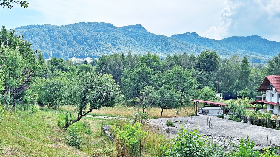 Bran- Predelut, 1000mp teren pentru casa de vacanta, pret 45 euro/mp - Poză 3