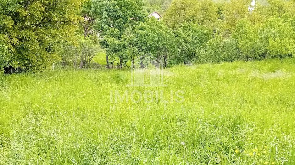 Teren intravilan | Budiu Mic | 994 mp - Poză 8