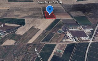 Teren Agricol 5.24 HA com. Cruzești mun. Chișinău - Poză 3