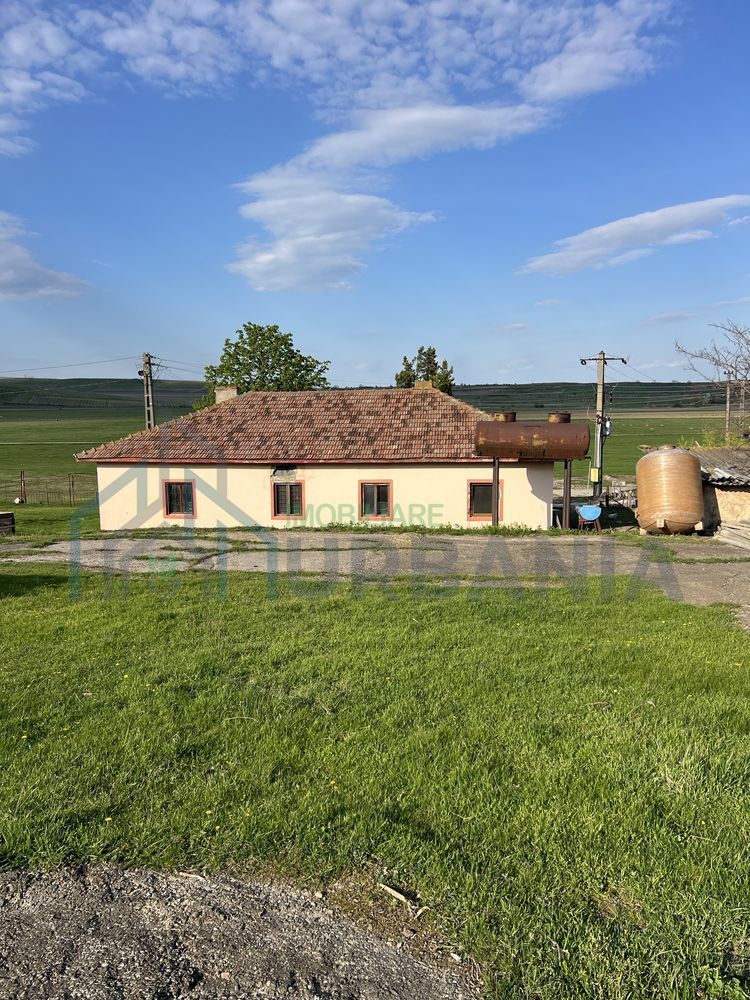 Teren 4000 mp cu casă și construcții anexe, Buhalnița, județul Iași - Poză 3