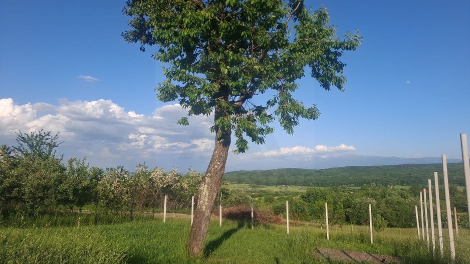 Teren intravilan 809 mp cu deschidere 14 m în Tropinii Noi - Poză 17