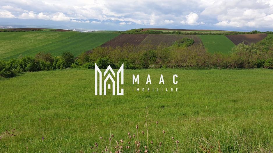 Teren | S+P+E | S+P+M | Intravilan | 9826 MP | Sura Mare - Poză 1