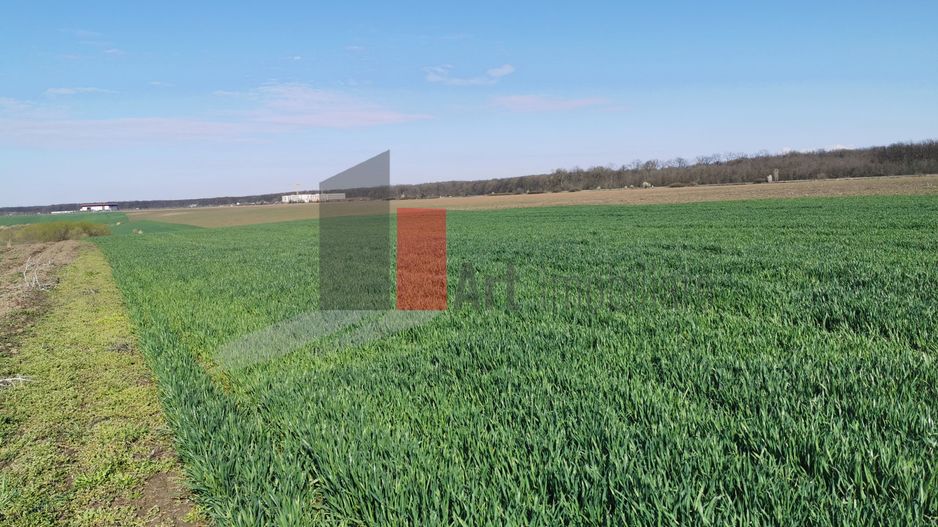 10 000 mp SNagov, langa Autostrada si Padure - Poză 2