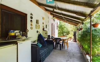 Casă cu livadă de pomi în Dorobanți - Poză 14