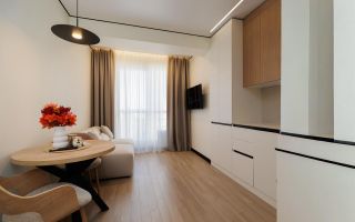 Vânzare apartiment- o odaie + living, str. Independenței, Botanica - Poză 4