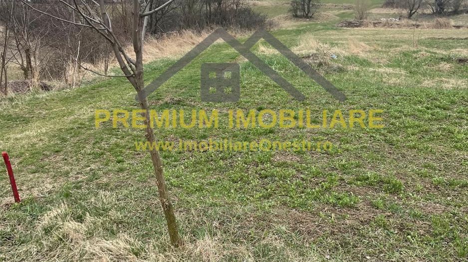 Vânzare teren 3145 mp – Mănăstirea Cașin, Onești - Poză 5