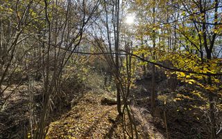 TEREN INTRAVILAN 13167 MP BUGHEA DE SUS ARGES - Poză 17