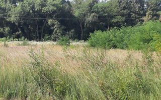 TEREN DUMBRAVITA APROAPE DE PADUREA VERDE - Poză 3