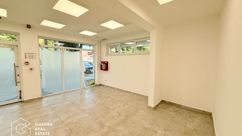 Spațiu comercial de inchiriat, Calea Victoriei - Poză 3