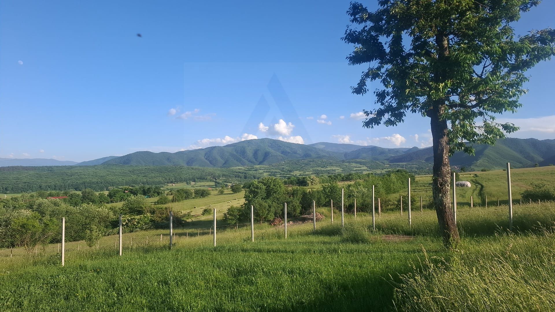 Teren intravilan 809 mp cu deschidere 14 m în Tropinii Noi - Poză 1