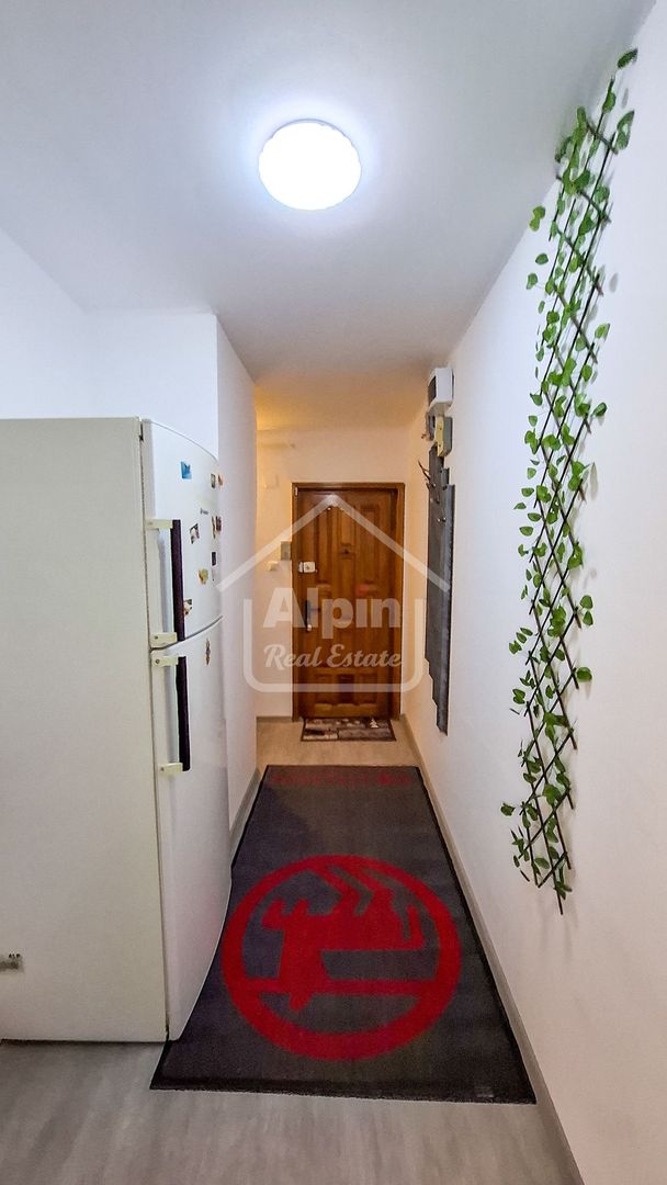 Suprafata Generoasa I Zona Gemenii - Poză 25