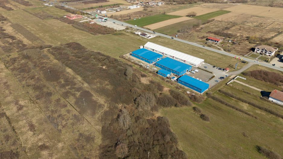 Teren extravilan de 7.000 mp lângă Păltiniș - Poză 15