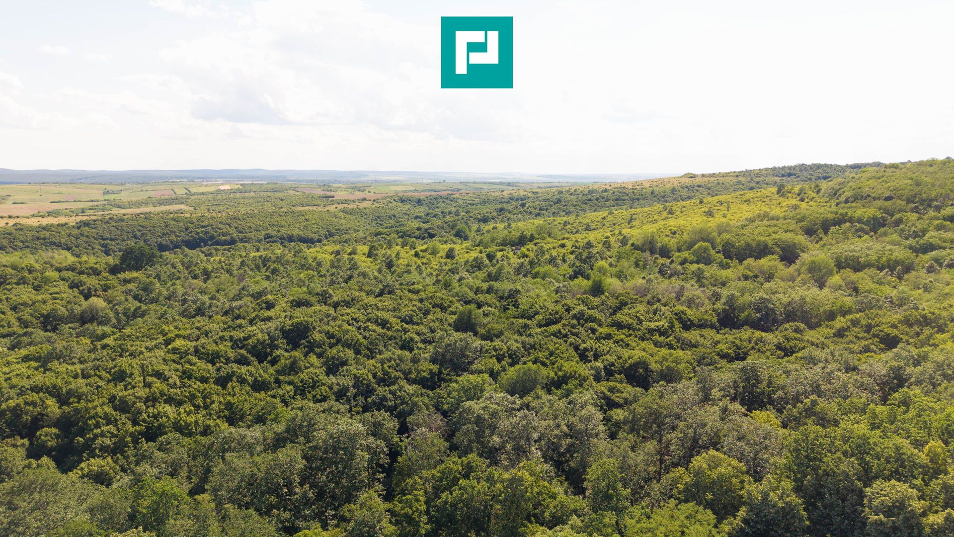 TEREN AGRICOL EXTRAVILAN  22.900 MP LIPOVA - Poză 7