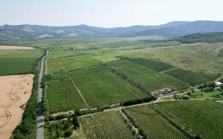 Vie Tradițională „Halta Lupilor” - Poză 28