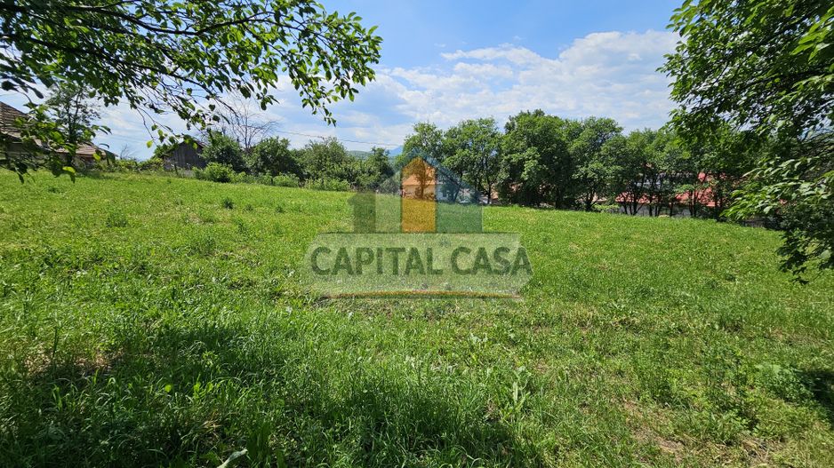 Teren de Vanzare in Plopu - Darmanesti, cu toate utilitatile - Poză 6