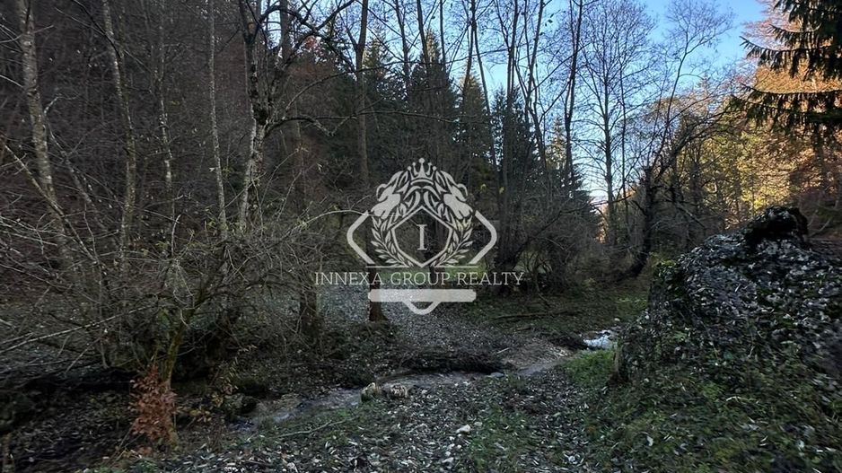 Teren 2.882 mp – oportunitate investitie - Cheile Dâmbovicioarei - Poză 11