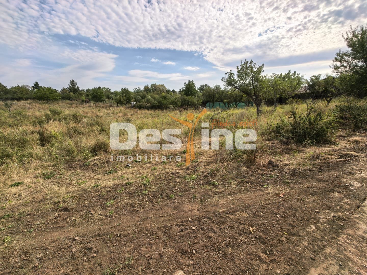 Teren intravilan 2170 mp la drum asfaltat - Chicerea - Poză 2