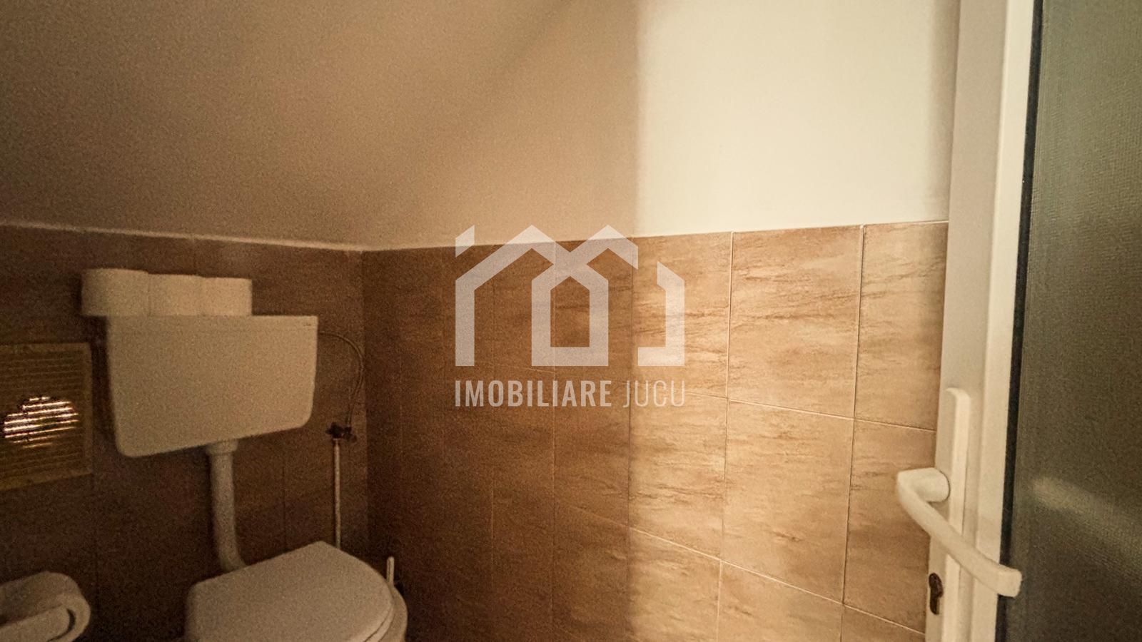 Casa individuala cu 12 camere, Potential Turistic, Visea, Comuna Jucu - Poză 27