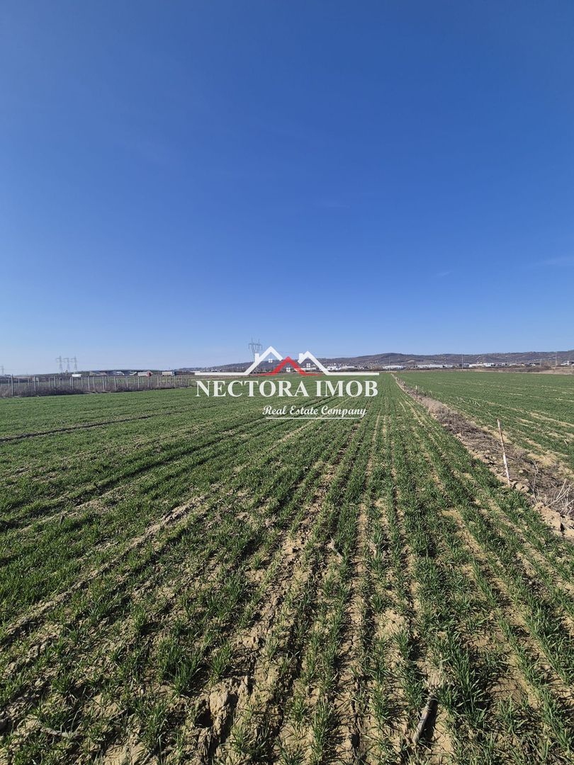 NECTORA IMOB-Teren Intravilan 537 mp, Zona Solay, 250 m de asfalt - Poză 6