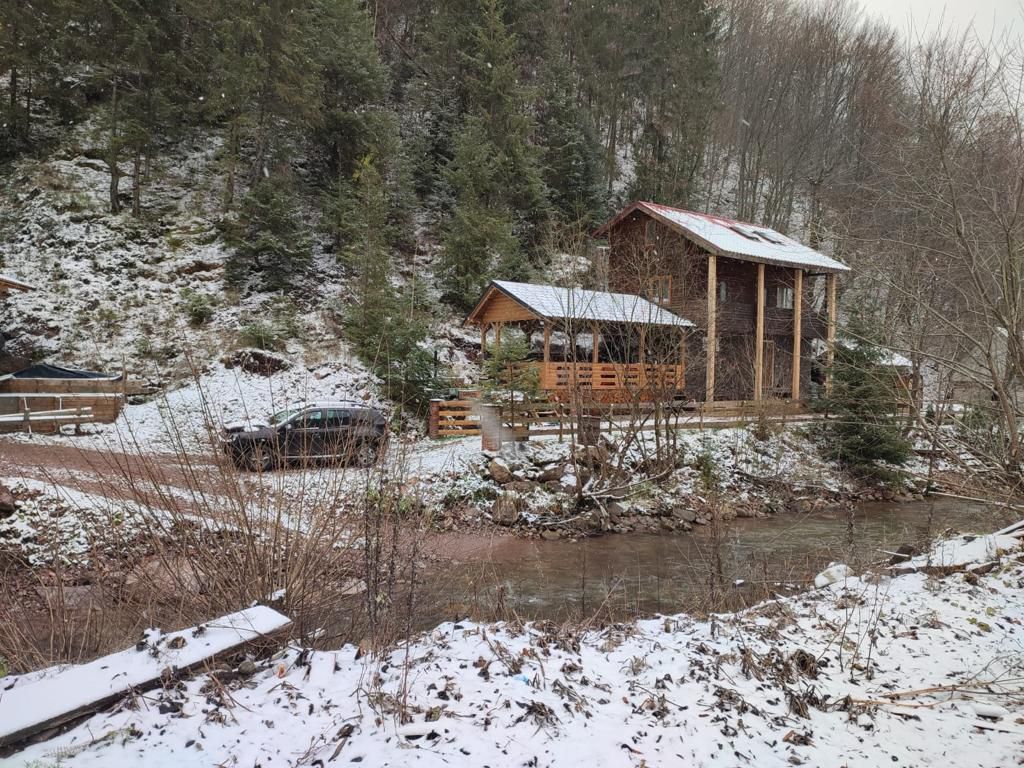 Cabana din Vis Arieseni (Garda de Sus) - Poză 18