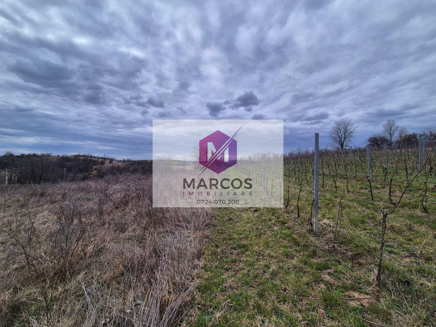 Vand 2 parcele de 5700 mp zona Iabalcea - Poză 1