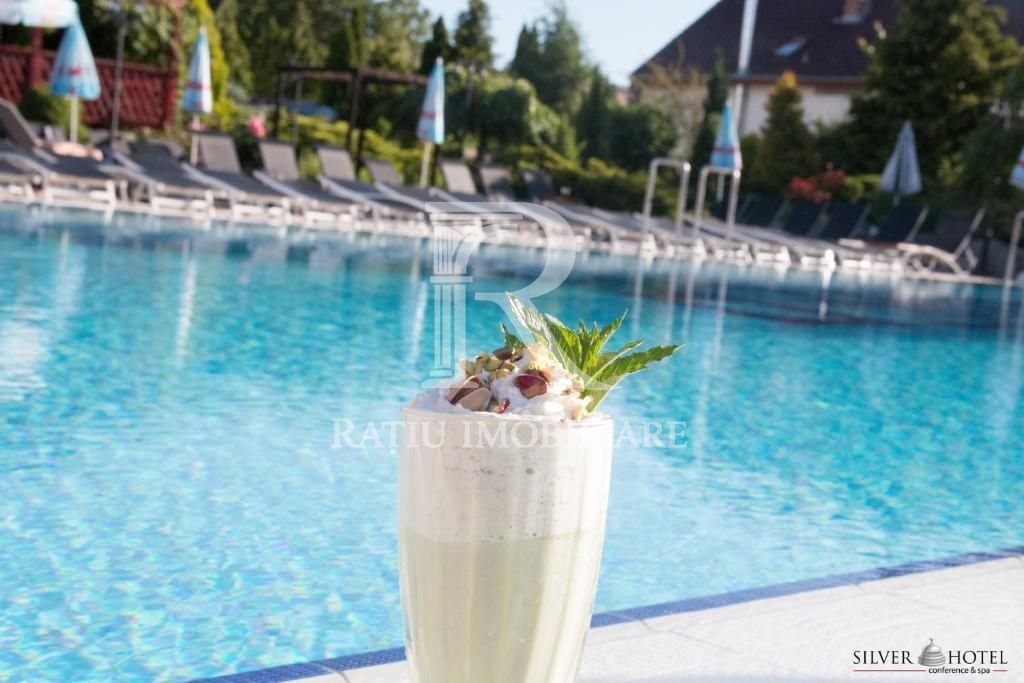 HOTEL SILVER– PRIME HOSPITALITY ASSET 4★ Operational - Poză 16