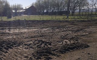 Teren de vanzare,4900 mp in Biharia - Poză 1