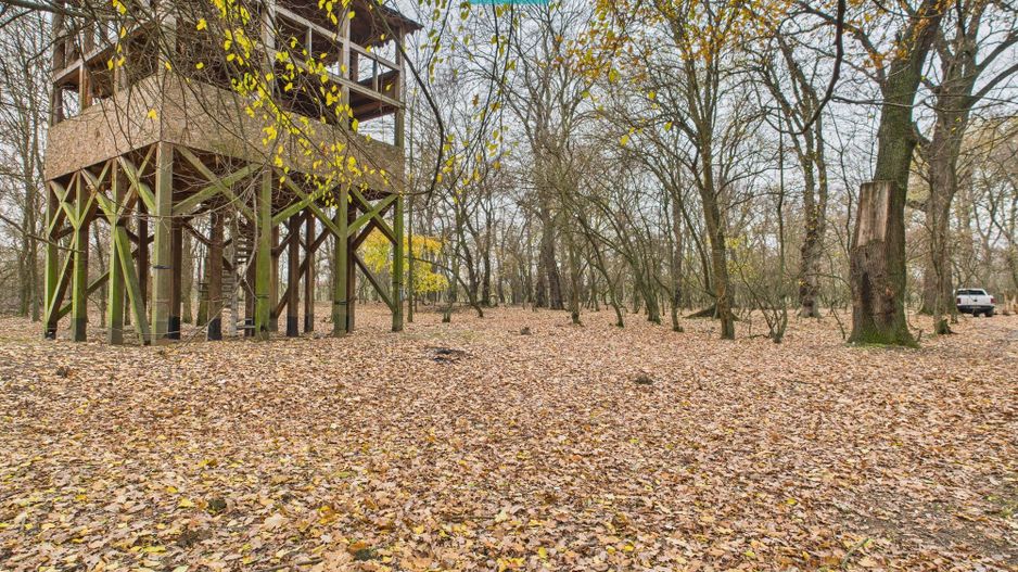 Teren spectaculos la  Periam Port - Poză 16