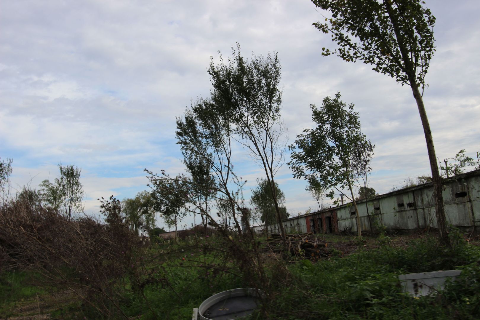 Vanzare hale Mosnita Noua-fosta Ferma 7 - Poză 23