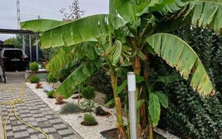 Duplex complet mobilat și utilat cu 3 camere |Dumbrăvița| - Poză 11