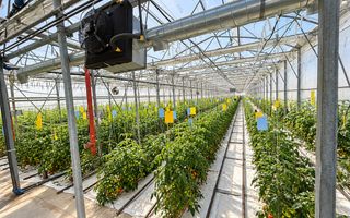 Complex agroindustrial de închiriat | Sere 3.300 mp - Poză 1