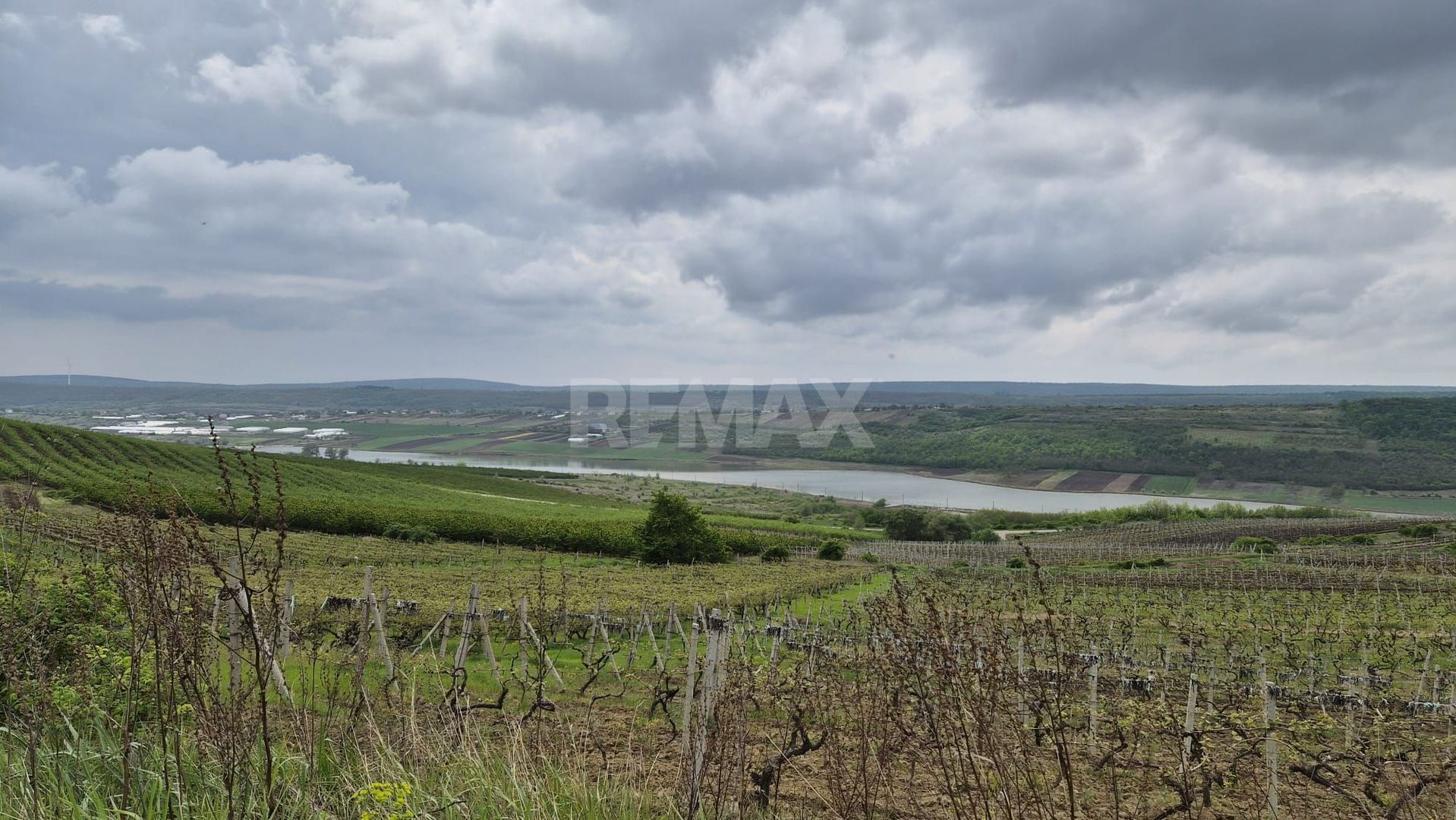 Vie Moldova - Poză 5
