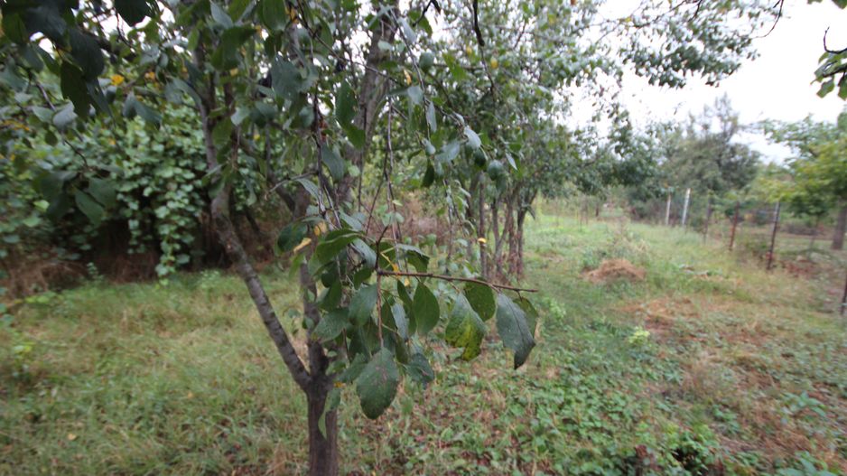 Teren de vânzare - 1900 mp Dumbravita - Poză 1