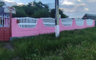 Casă de vânzare în Muncelul de Sus, com. Mogoșești-Siret, jud. Iași – 40 ari, 4 camere, 2 băi, 2 bucătării - Poză 1