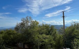 Pachet 2 apartamente – Ghelari, etaj 1, bloc reabilitat termic - Poză 6