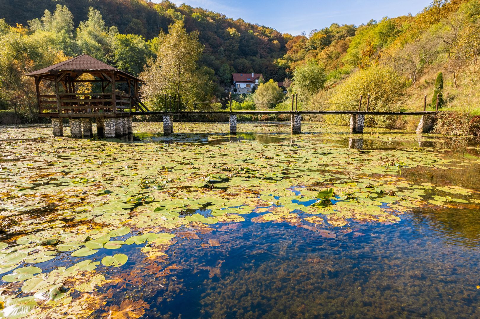 Domeniu în satul Căprioara - Poză 32