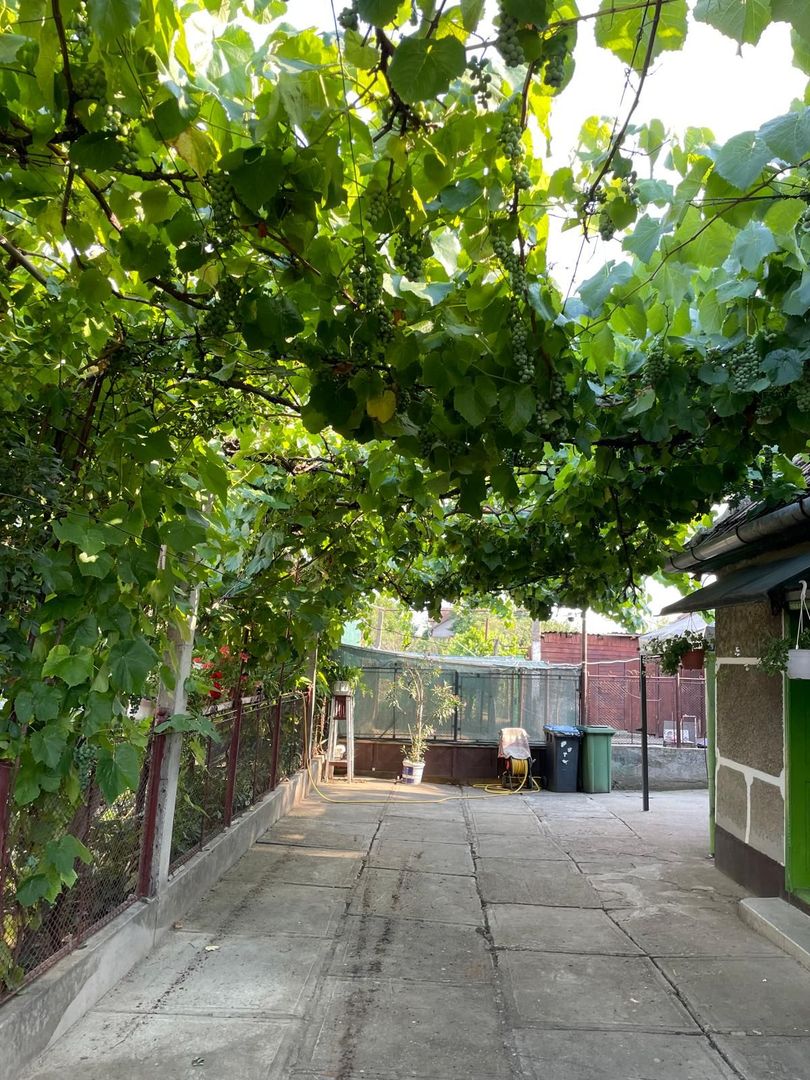 Casa parter 35 km de la Timisoara - Poză 12