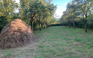 Teren Intravilan - Tropinii Noi - Poză 2
