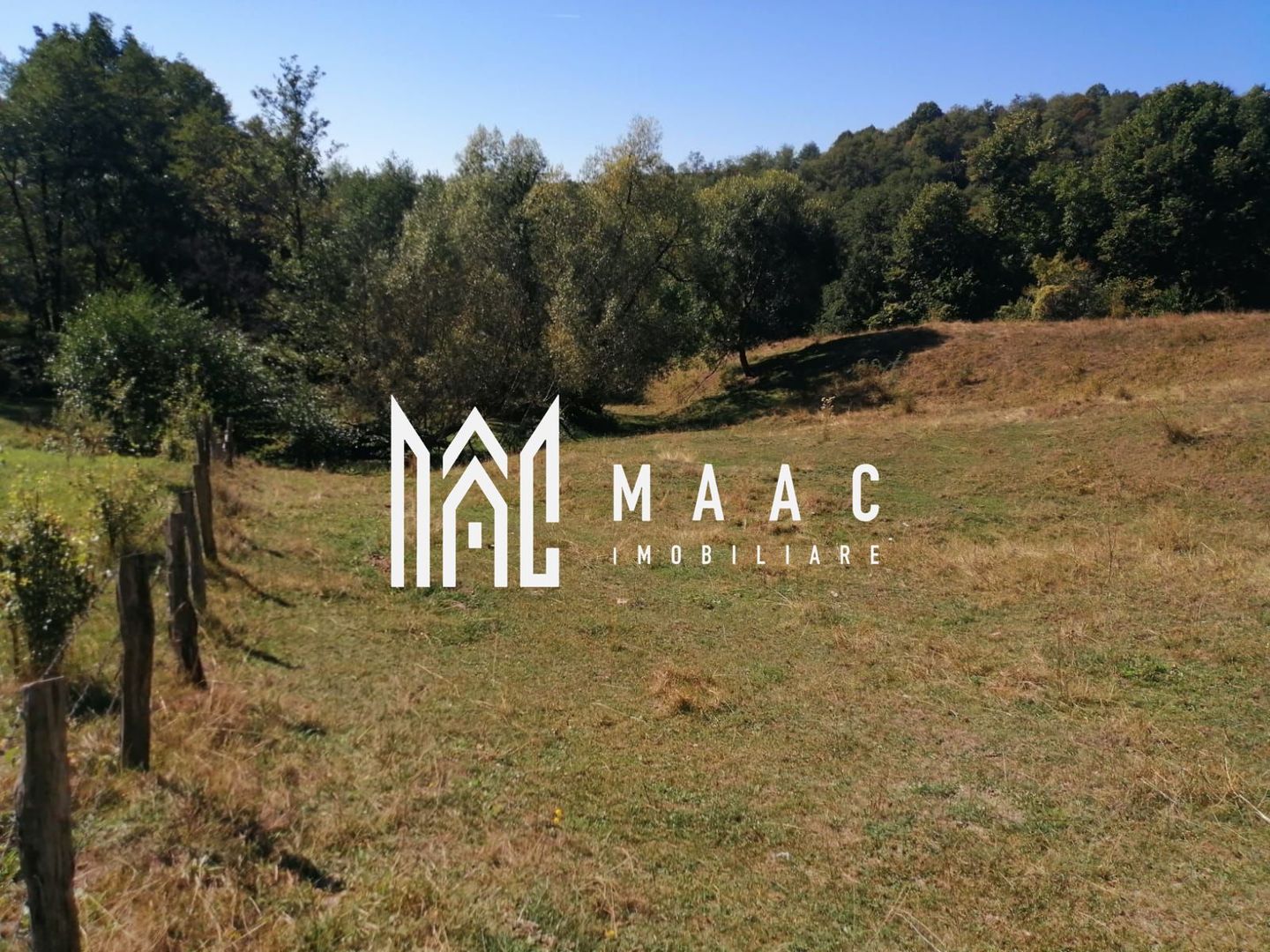 Teren Extravilan 20.000Mp I Stoenești -Vâlcea I Apă Curentă și Pădure - Poză 10